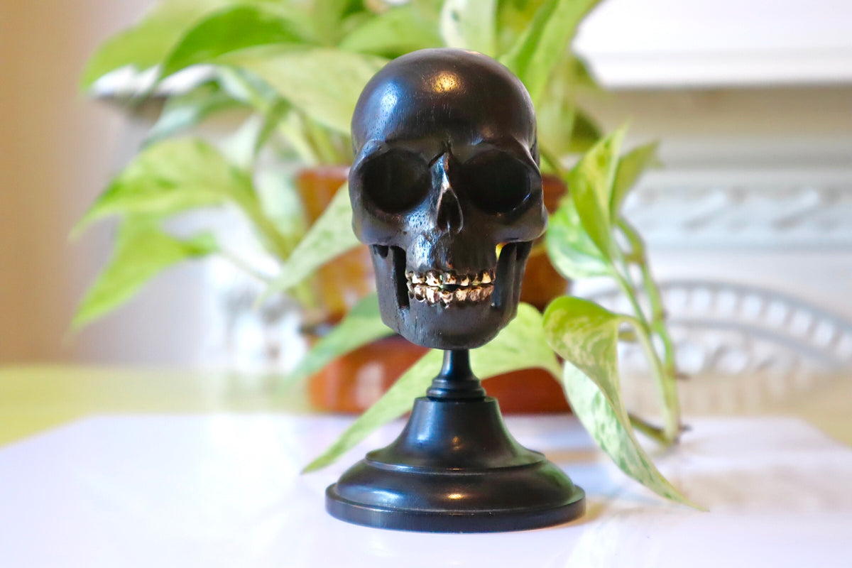 Rare Antique 19th Century Carved Ebony Memento Mori Skull c.1880 – Folk ...