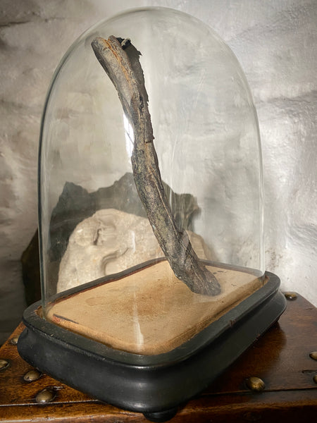A Curious Antique 19th Century Child’s Shipwreck Shoe In Period Glass Display Dome - Source Vintage
