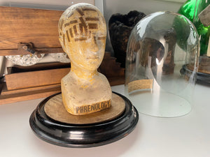 An Extremely Rare Early 19th Century Plaster Phrenology Head By Ambrose Lewis Vago & Period Glass Display Dome
