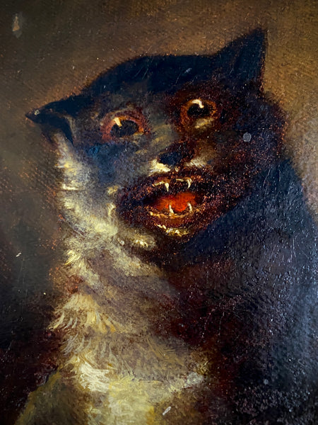 Antique 19th Century Unhinged Folk Art Oil On Canvas Painting Of A Demented Cat