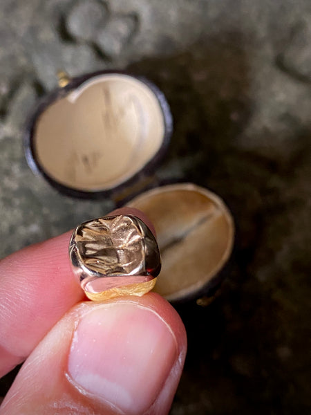 A Rather Macabre Tooth With A Heavy Solid 22ct Gold Crown In An Old Ring Box