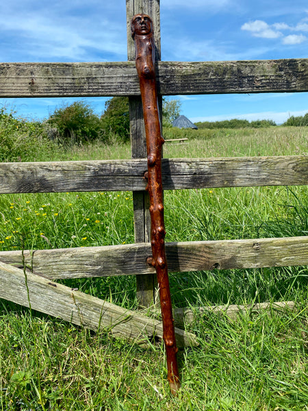 Fabulous 19th Century Folk Art Hedgerow Walking Cane With Carved Head & Horn Tip