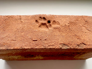 A Salvaged Victorian House Brick With The Sweetest Cat Paw Print