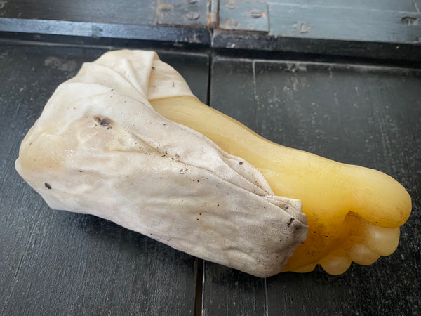 **RESERVED** Rare Antique Wax Medical Moulage Foot Study With Frostbitten Toes c.1900