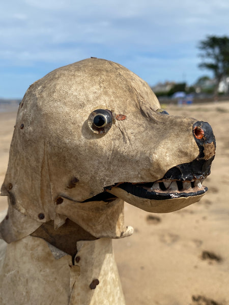 Early 20th Century Haunting Folk Art Dog With Opening Mouth & Pop Out Eye