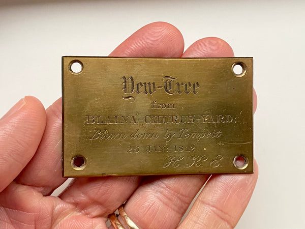 Curious Antique Victorian Brass Plaque Dedicated To A Yew Tree Blown Down By Storm Tempest 1842 - Source Vintage