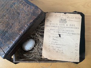 A Charming 19th Century Egg Box With A Surprise Inside