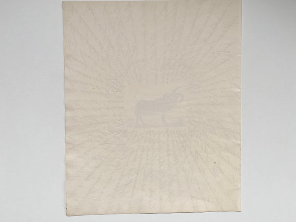 Antique 19th Century Folk Art Circular Hand Drawn Zoological Study - Source Vintage