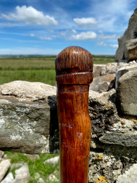 Fabulous 19th Century Folk Art Hedgerow Walking Cane With Carved Head & Horn Tip
