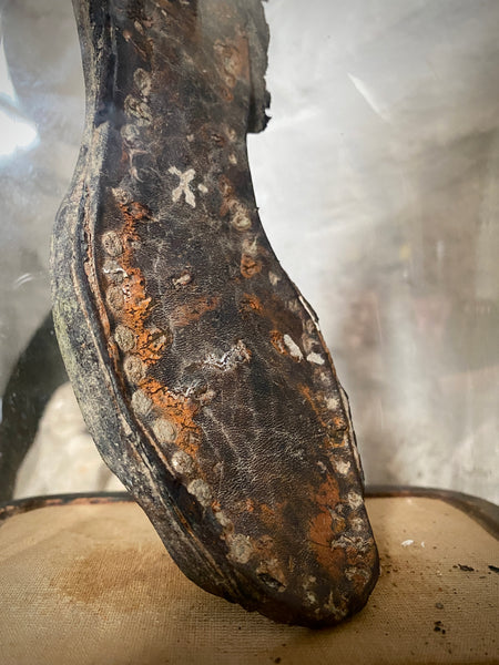 A Curious Antique 19th Century Child’s Shipwreck Shoe In Period Glass Display Dome - Source Vintage