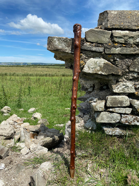 Fabulous 19th Century Folk Art Hedgerow Walking Cane With Carved Head & Horn Tip