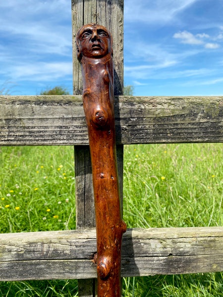 Fabulous 19th Century Folk Art Hedgerow Walking Cane With Carved Head & Horn Tip