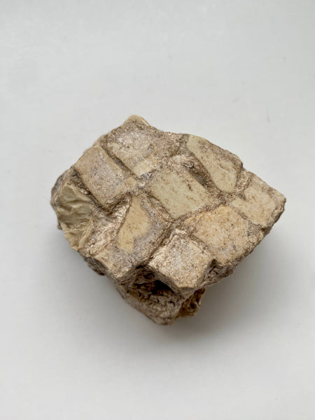 Rare Section Of Ancient Roman Mosaic Flooring 1st-2nd Century AD - Source Vintage