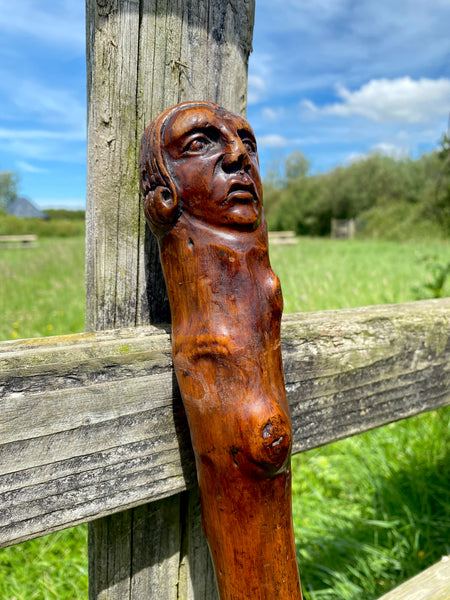 Fabulous 19th Century Folk Art Hedgerow Walking Cane With Carved Head & Horn Tip