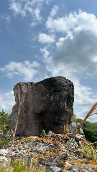 Magnificent Early 17th Century Carved Stone Head From The Out Houses Of Newton Old Hall, Derbyshire - Source Vintage