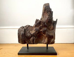 Rare 12th Century Timber Fragment From The Old Templar Manor Herdewyke