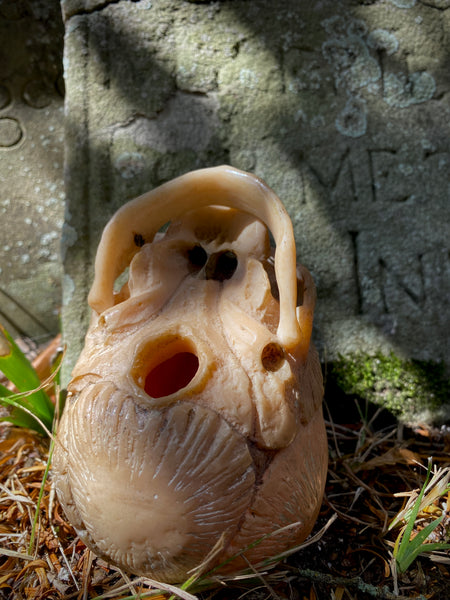 Early 20th Century Anatomical Teaching Model Of A Foetus Skull