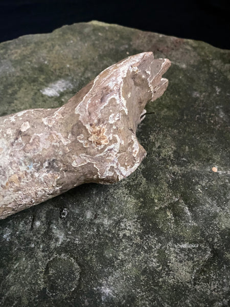 Antique 16th-17th Century Large Polychrome Wooden Arm Fragment - Source Vintage