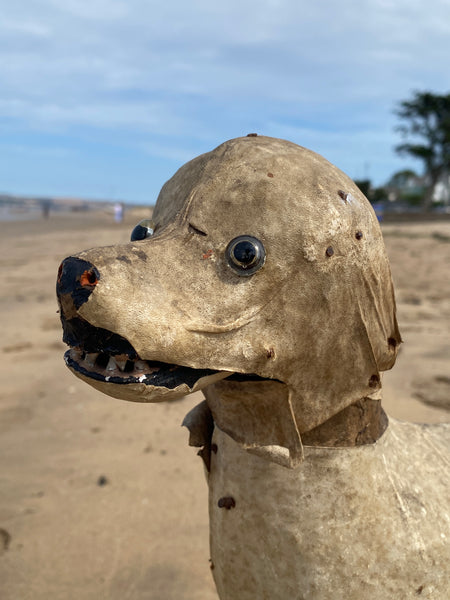 Early 20th Century Haunting Folk Art Dog With Opening Mouth & Pop Out Eye