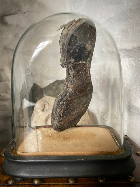 A Curious Antique 19th Century Child’s Shipwreck Shoe In Period Glass Display Dome - Source Vintage