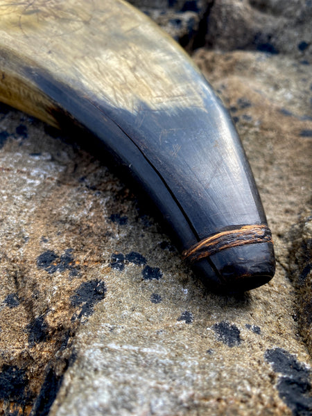 Antique 19th Century Powder Horn Featuring A Prominent Daisy Wheel Or Hexafoil