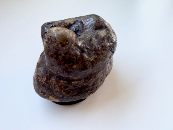 Antique 19th Century Victorian Novelty Papier Mache Snuff Box In The Form Of A Turd - Source Vintage
