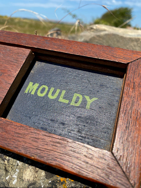 Bizarre Vintage Folk Art Sliding Sign “Merry And Bright” / “Mouldy”