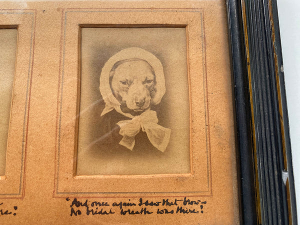 Rare Antique 19th Century Pet Dog Memorial Showing 3 Stages Of It’s Life With Poems Underneath - Source Vintage