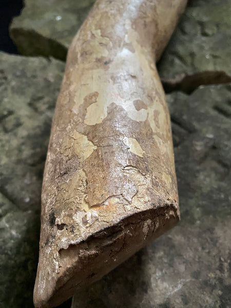 Antique 16th-17th Century Large Polychrome Wooden Arm Fragment - Source Vintage
