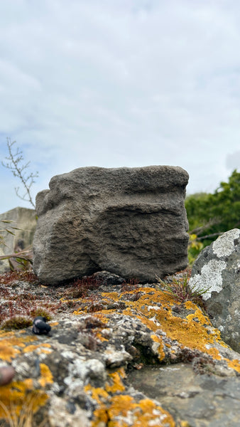 Very Rare 11th - 12th Century Carved Stone ‘Gripping Mouth’ Apotropaic Corbel - Source Vintage