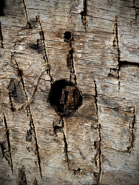 Rare Salvaged Antique 17th Century Solid Oak Inglenook Beam End With Apotropaic Taper Burn - Source Vintage