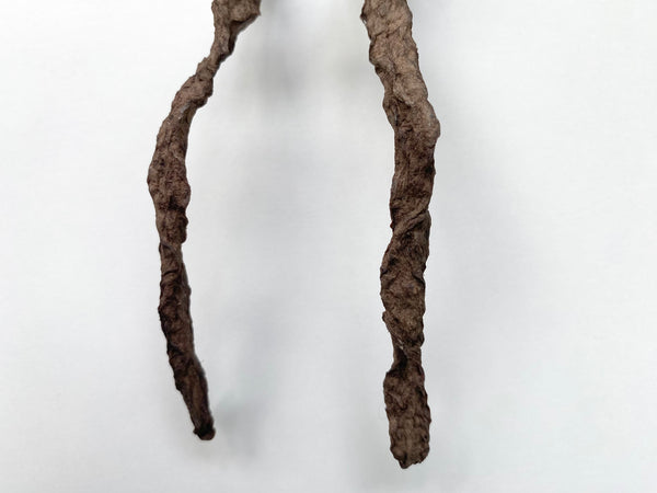 Unusual Early 1900’s Poppet Doll Made From A Dried Root, Used In Folk Magic & Witchcraft - Source Vintage