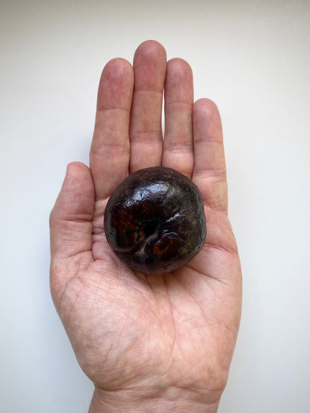 Curious Rare Antique Petrified Apple