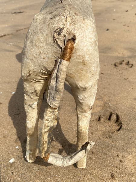 Early 20th Century Haunting Folk Art Dog With Opening Mouth & Pop Out Eye