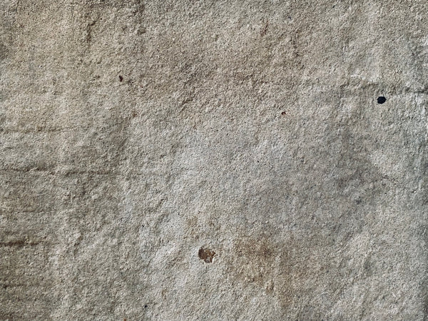 Heavy Reclaimed Antique Stone Slab Engraved In Latin ‘Tempus Fugit’ - Source Vintage