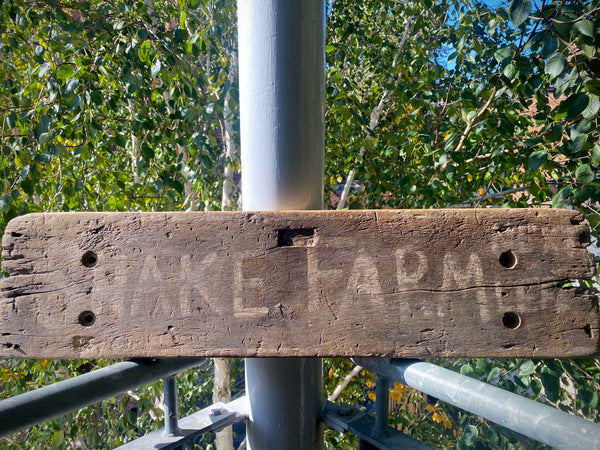 Primitive American Folk Art Shed Made ‘Snake Farm’ Sign - Source Vintage