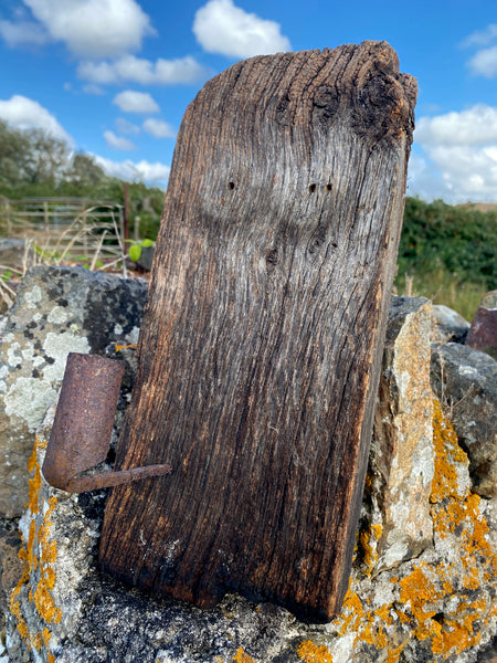 Primitive Antique 18th Century Wrought Iron Wall Spike Candle Holder Stabbed Into A Piece Of Wood