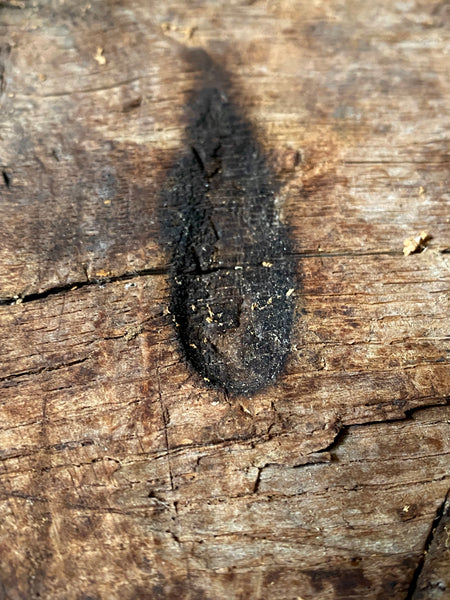 Rare Salvaged Antique 17th Century Solid Oak Inglenook Beam With Vast Collection Of Apotropaic Taper Burns