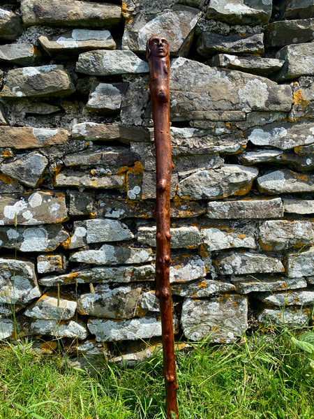 Fabulous 19th Century Folk Art Hedgerow Walking Cane With Carved Head & Horn Tip