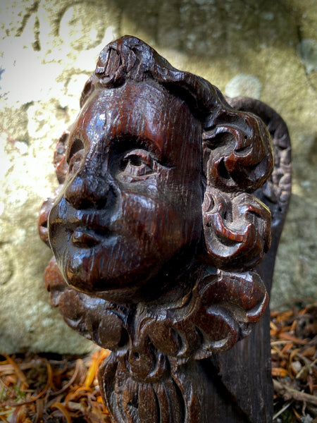 Antique Late 17th-Early 18th Century Carved Oak Cherub