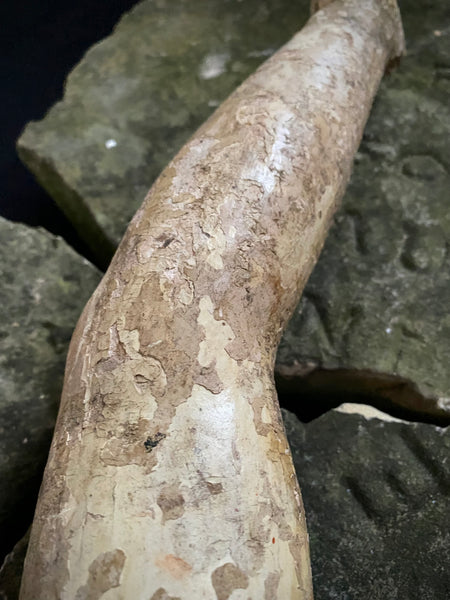Antique 16th-17th Century Large Polychrome Wooden Arm Fragment - Source Vintage