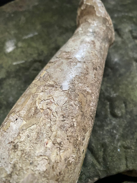 Antique 16th-17th Century Large Polychrome Wooden Arm Fragment - Source Vintage
