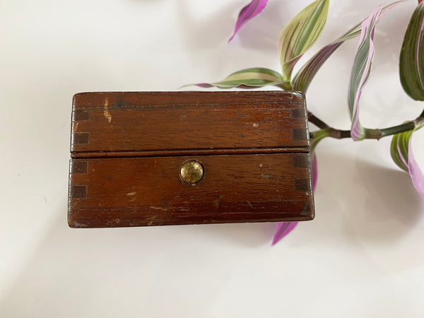 **RESERVED** Rare Antique 19th Century Witches Oak Apothecary Box With Partially Mummified Witches Familiar - Source Vintage