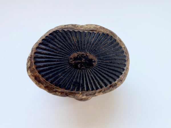 Antique 19th Century Victorian Novelty Papier Mache Snuff Box In The Form Of A Turd - Source Vintage