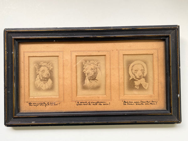 Rare Antique 19th Century Pet Dog Memorial Showing 3 Stages Of It’s Life With Poems Underneath - Source Vintage