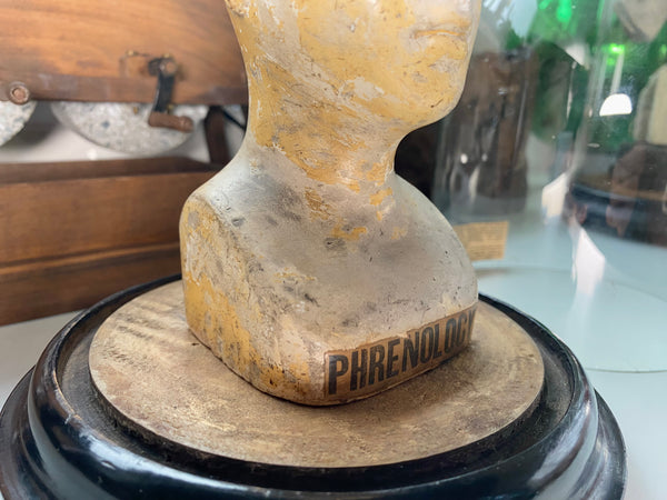 An Extremely Rare Early 19th Century Plaster Phrenology Head By Ambrose Lewis Vago & Period Glass Display Dome - Source Vintage