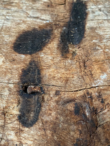 Rare Salvaged Antique 17th Century Solid Oak Inglenook Beam With Vast Collection Of Apotropaic Taper Burns