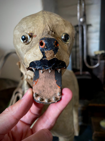 Early 20th Century Haunting Folk Art Dog With Opening Mouth & Pop Out Eye