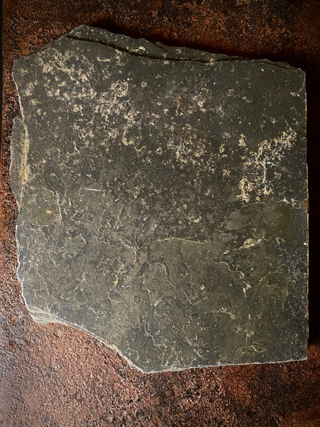 Rare Antique 18th Century Slate Gravestone Fragment ‘Wickey’ - Source Vintage