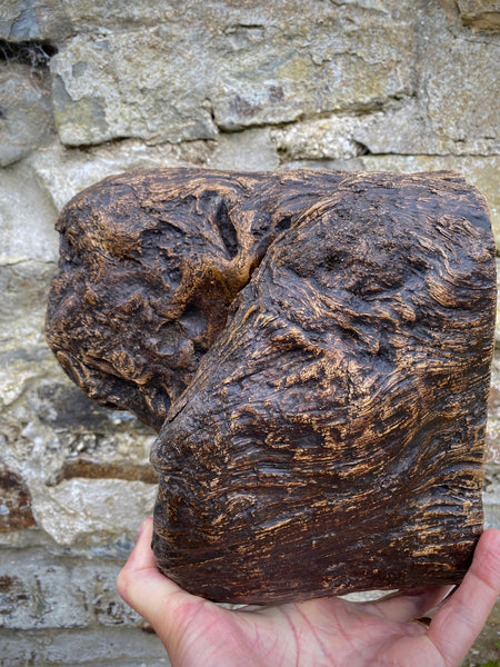 Ancient Medieval Carved Folk Art Wooden Corbel Beam End Beast Or Natural Burr Wood…?